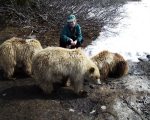 Maureen and our three bears
